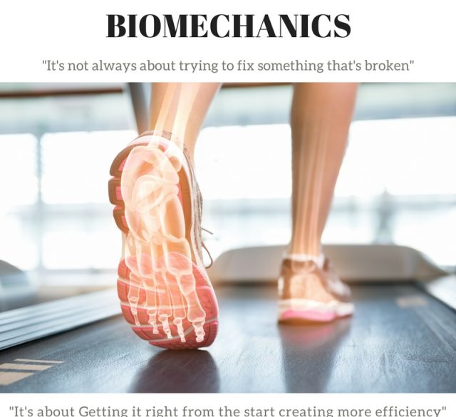 Chelmsford Biomechanics
